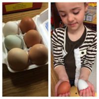 Ms. Carranco's Class: An Object Lesson in Diversity